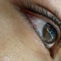 مدل شید لب،بن مژه،میکروبلیدینگ|خدمات آرایشگری و زیبایی|شیراز, شهرک ولیعصر|دیوار