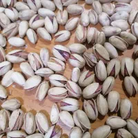 پسته اجیلی محصول 1404|خوردنی و آشامیدنی|مشهد, شهید رضوی|دیوار