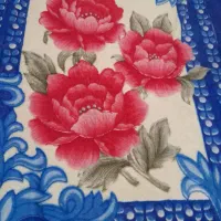 دوعددپتو گلبافت جنس نرم وضخیم درحدنو|رختخواب، بالش، پتو|شیراز, کوشک میدان|دیوار