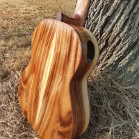 گیتار حرفه ای تمام چوب وودین woodin