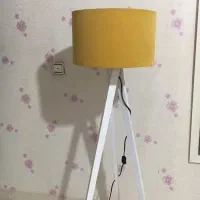 آباژور ایستاده