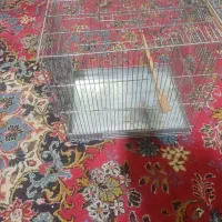 یک عدد قفس غلامی سایز۳|لوازم جانبی حیوانات|تهران, شمس‌آباد|دیوار