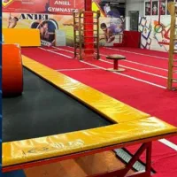 باشگاه ژیمناستیک