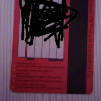 کارت سوخت پیدا شده