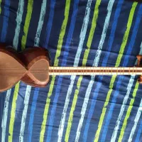 تار نو سه مهر ملایری