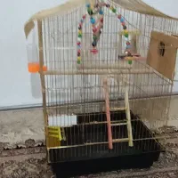 فروش قفس پرنده