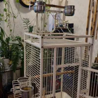 قفس طوطی|لوازم جانبی حیوانات|تهران, میرداماد|دیوار