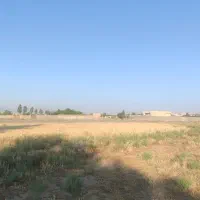 فروش فوری ۳۰۰زمین (کاسبی)  زعفرانیه