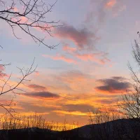 اجاره یک خوابه مبله حیاط دار