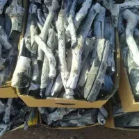 زغال کبابی|عمده‌فروشی|قم, خداکرم|دیوار