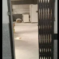 اجاره خانه فوری واحد تخلیه|اجارهٔ آپارتمان|نسیمشهر, |دیوار