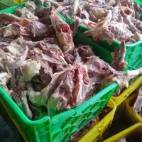 اسکلت مرغ بال مرغ مناسب غذای سگ|لوازم جانبی حیوانات|ماهدشت, |دیوار