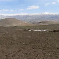 زمین کشاورزی حاصلخیز هفت هکتار دیم یک جا|فروش دفتر صنعتی، کشاورزی، تجاری|کرج, گلشهر|دیوار