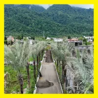 ۶۰۰متر زمین // کنار شهرک فردوس// فروش فوری