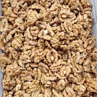 گردو مغز درجه یک تویسرکان