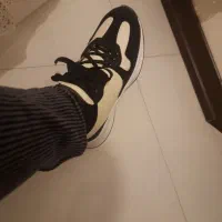 کفش و کتونی