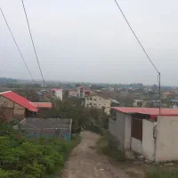 زمین مسکونی ۱۰۰متر/تالش/تیتک/نقد/چک|فروش زمین و ملک کلنگی|تالش, هشتپر|دیوار