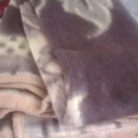 پتوورسالنی نونو