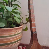 تار|سازهای سنتی|ارومیه, |دیوار