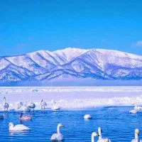 راهنمایی ومیکنم