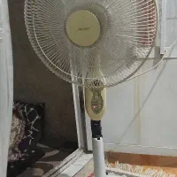 پنک ایستاده