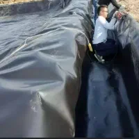 ورق های استخر