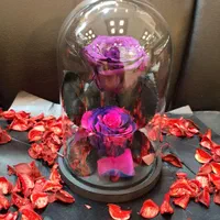 هدیه باکس گل رز جاودان طرح دیو و دلبر|گل و گیاه طبیعی|تهران, فردوسی|دیوار