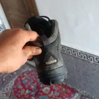 یک جفت کفش هم واسه داخل شهر هم کوه نوردی|کیف، کفش، کمربند|نهاوند, |دیوار