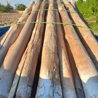 خریدچوب|خدمات باغبانی و درختکاری|چناران, |دیوار