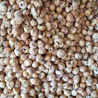 انواع انجیر|خوردنی و آشامیدنی|شیراز, درکی|دیوار