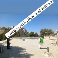 سمپاشی تخصصی ساس وسوسک با ضمانت یک ساله|خدمات نظافت|کرج, مصباح|دیوار