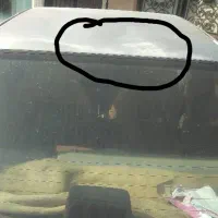 پژو ۴۰۵|خودرو سواری و وانت|ایلام, |دیوار