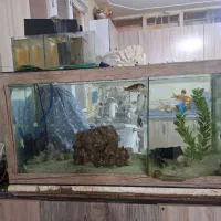 اکواریوم با تمام وسایل|ماهی|کرمانشاه, |دیوار