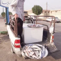 وانت بار کرایه و حمل و نقل|خدمات حمل و نقل|آبادان, |دیوار