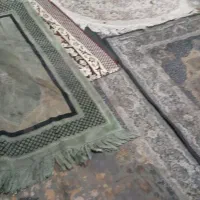 اتاق مجردی. خانم. فقط. یا زن و شوهر