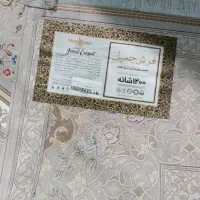 قالی ۱۲ متری نو|فرش|بندر ماهشهر, |دیوار