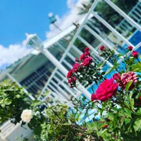 اجاره روزانه/هفتگی/ماهانه ویلا ۲۰۰۰ متری