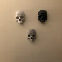 دیوار کوب اسکلت