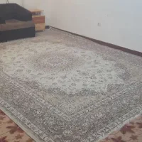 مبله تک خواب همکف بندر کنگان(مجردی ومتاهلی)|اجارهٔ کوتاه‌مدت آپارتمان و سوئیت|بندر کنگان, |دیوار