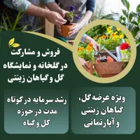 فروش  نمایشگاه  گل و گیاهان آپارتمانی
