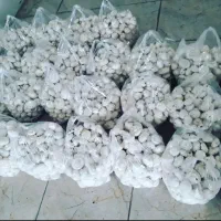 فروش قارچ|عمدهفروشی|کرمانشاه, |دیوار