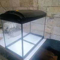 اکواریوم