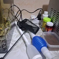 آکواریوم همراه دوعدد ماهی پلار تخم گذار|ماهی|چهاردانگه (تهران), |دیوار