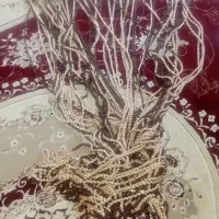 پرده ریسه ای 4 کتری