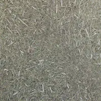 خارشتر‌ کیلو 12