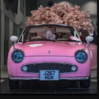 جذب سرمایه گذار* سرمایه گذاری خودرو*ملک*خط پرسود