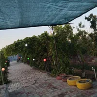 سیستم صوتی و رقص نور|اجارهٔ کوتاهمدت ویلا و باغ|نجفآباد, گلدشت|دیوار