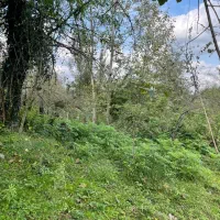 230متر کاربری مسکونی خوش قواره گیلان شفت|فروش زمین و ملک کلنگی|احمدسرگوراب, |دیوار