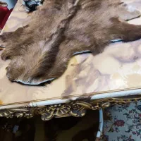 پوست طبیعی بز|صنایع دستی و سایر لوازم تزئینی|تبریز, |دیوار