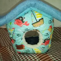 Box ولونه عروس وکوتوله|لوازم جانبی حیوانات|مشهد, امیرآباد|دیوار